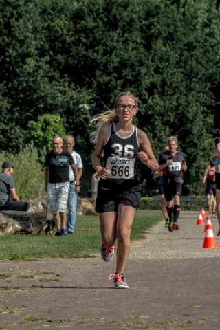 HeidekampparkRun 2017